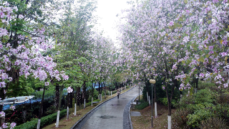 城市宜居有温度 市民生活更幸福