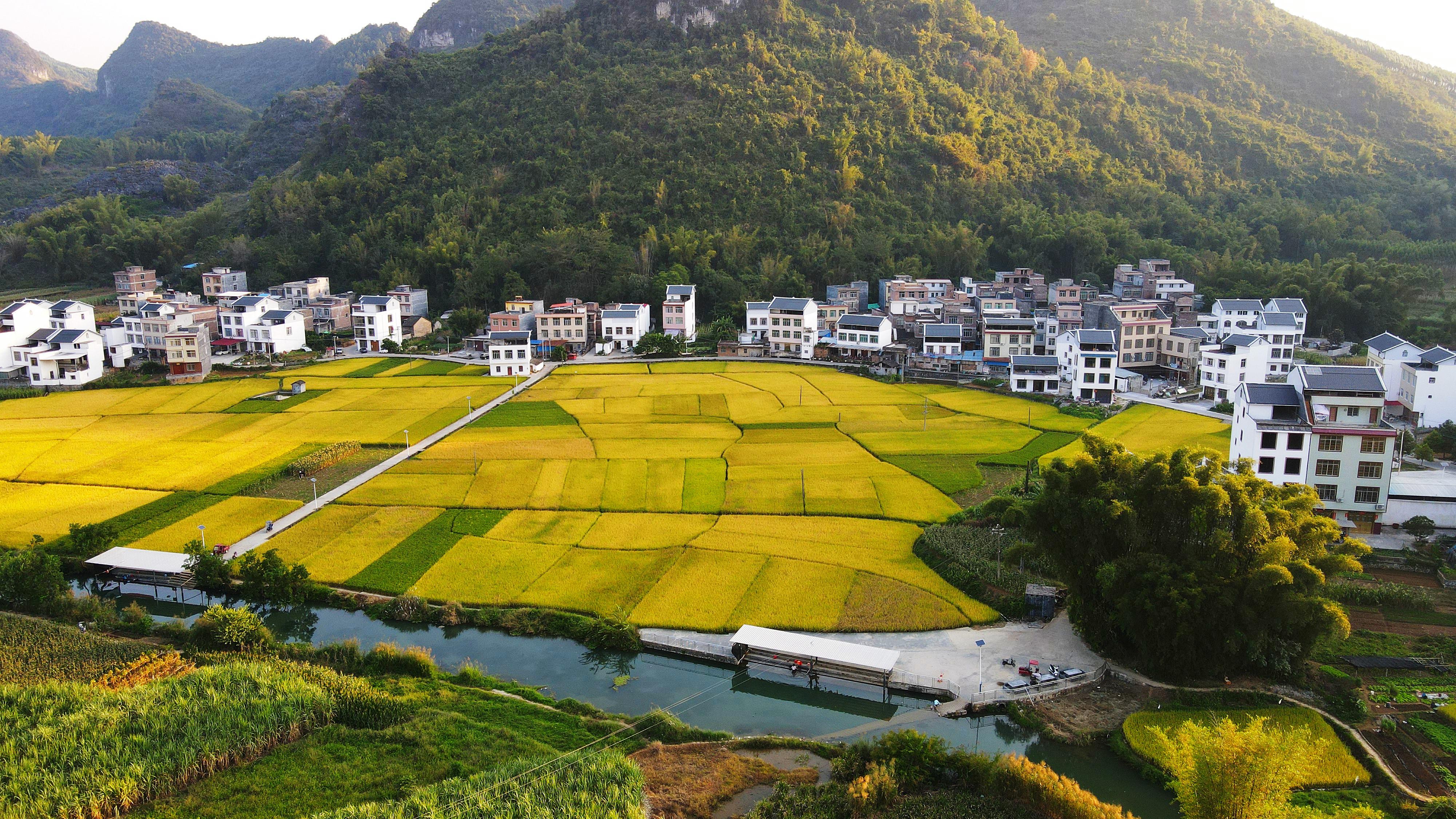 忻城： 多措并举筑牢耕地保护网