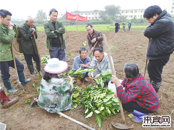忻城县人口_忻城县气象局工作人员-原来天气预报是这样测出来的