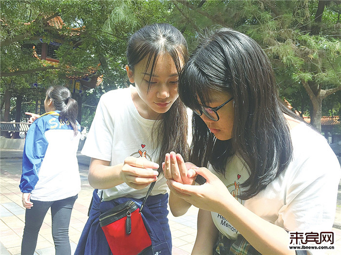 来宾二中水池发现美丽生灵