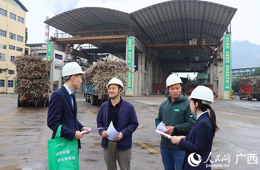 人民网 付华周摄