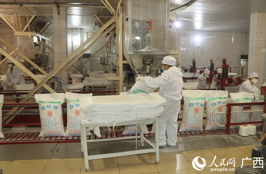 人民网 付华周摄