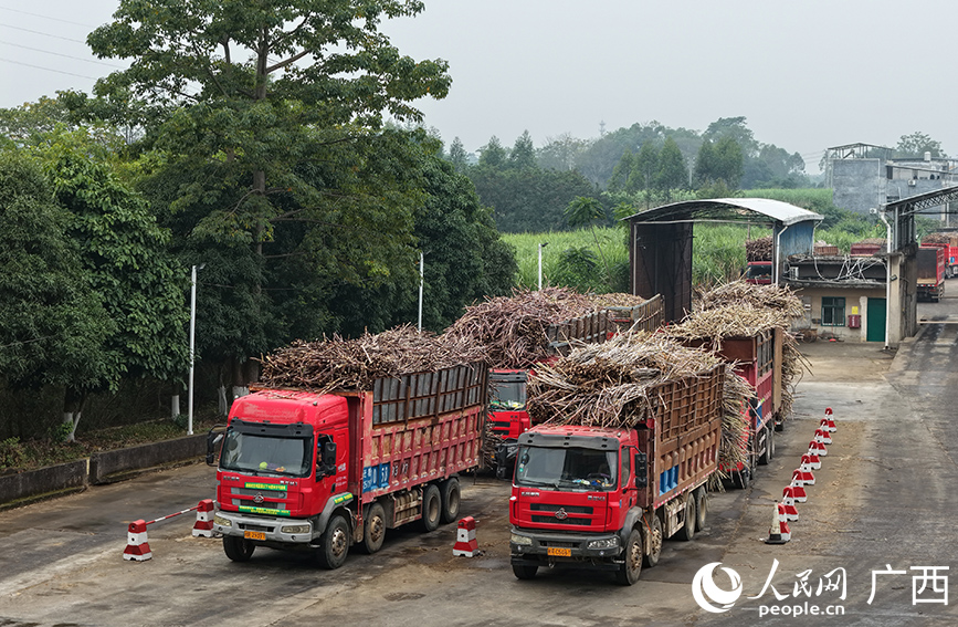 人民网 付华周摄
